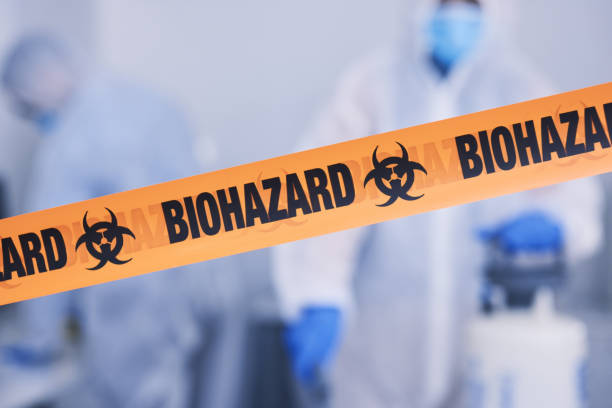 Professional Odor Removal technician working in Albany, NY